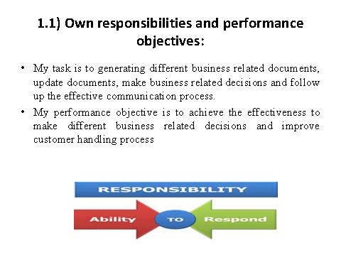 own responsibilities and performance objectives